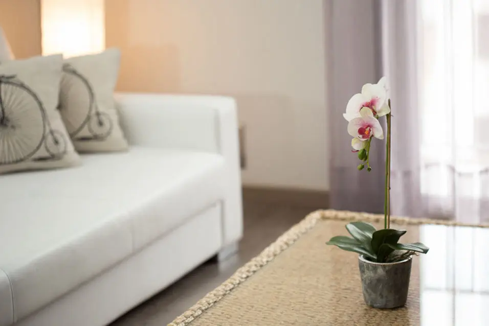 Apartamentos Rurales Dacris